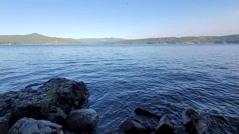 Lake That Built An Entire Food Scene