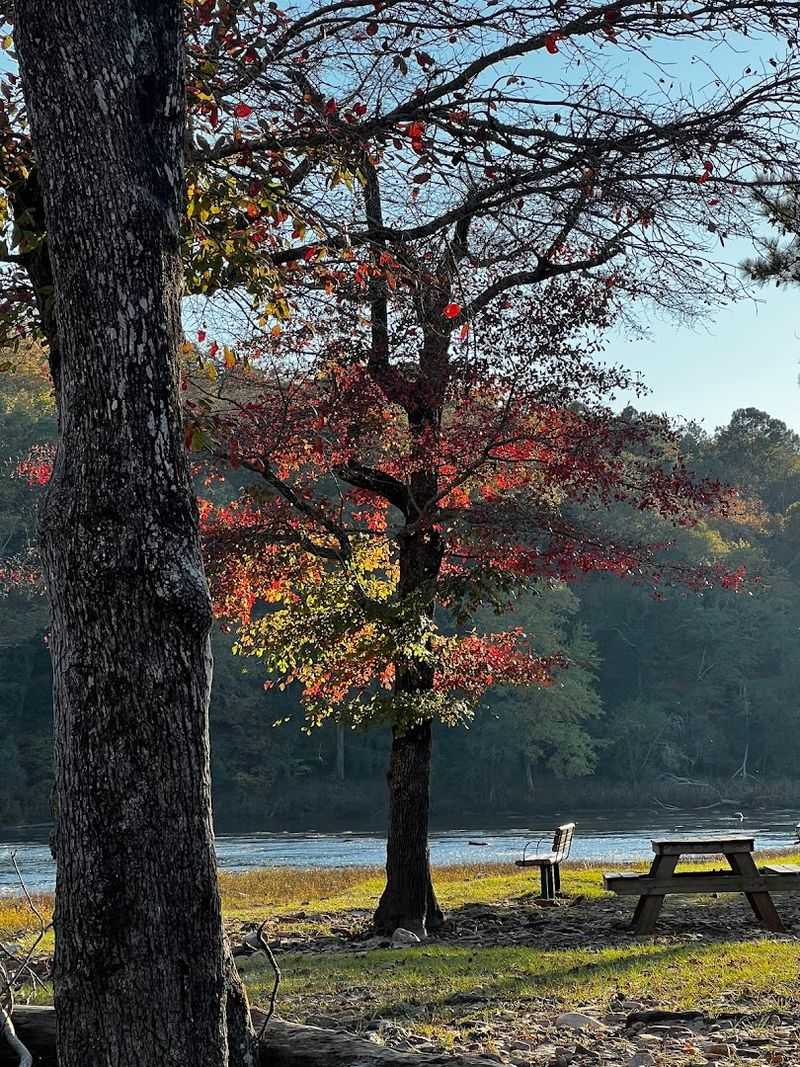 A Playground That Keeps the Younger Crowd Happy