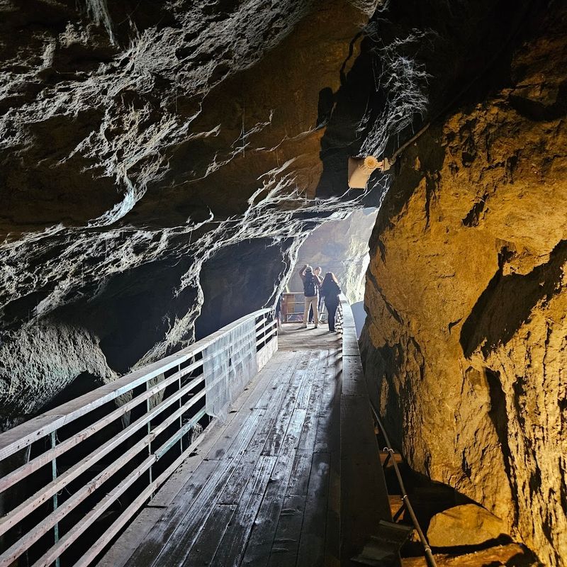 The Cave Store Trailhead Is the Starting Point Most Visitors Use