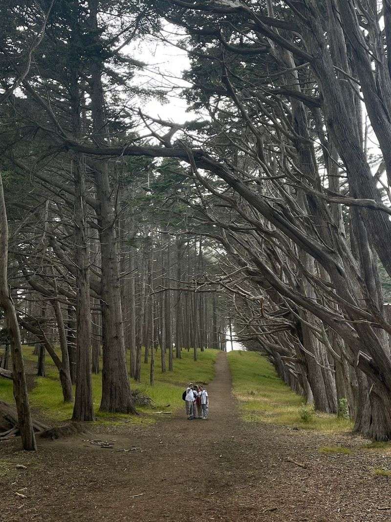 How To Get There Without Getting Lost