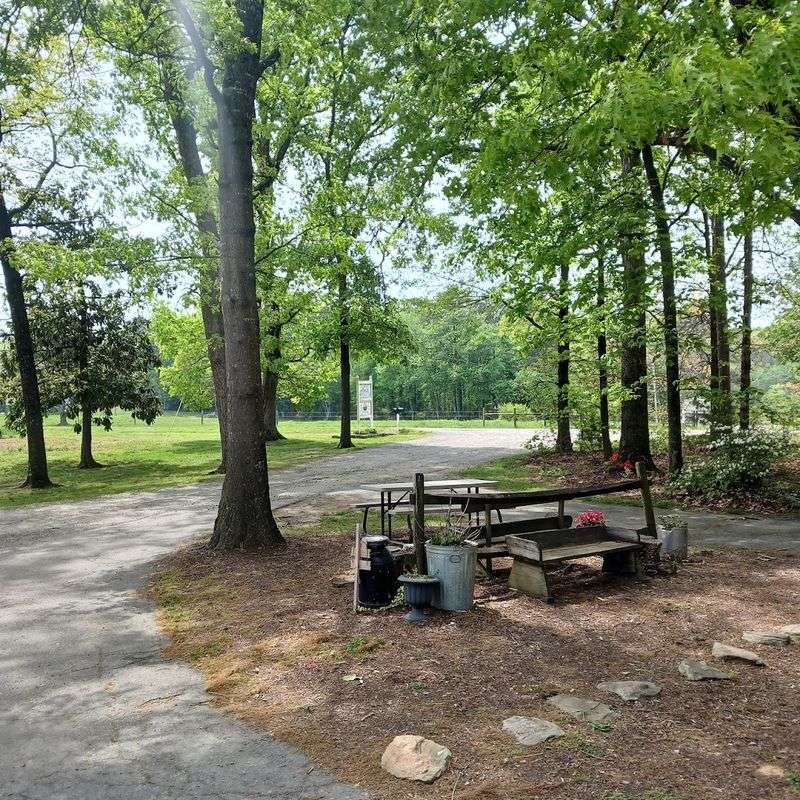 Misunderstood Rumspringa