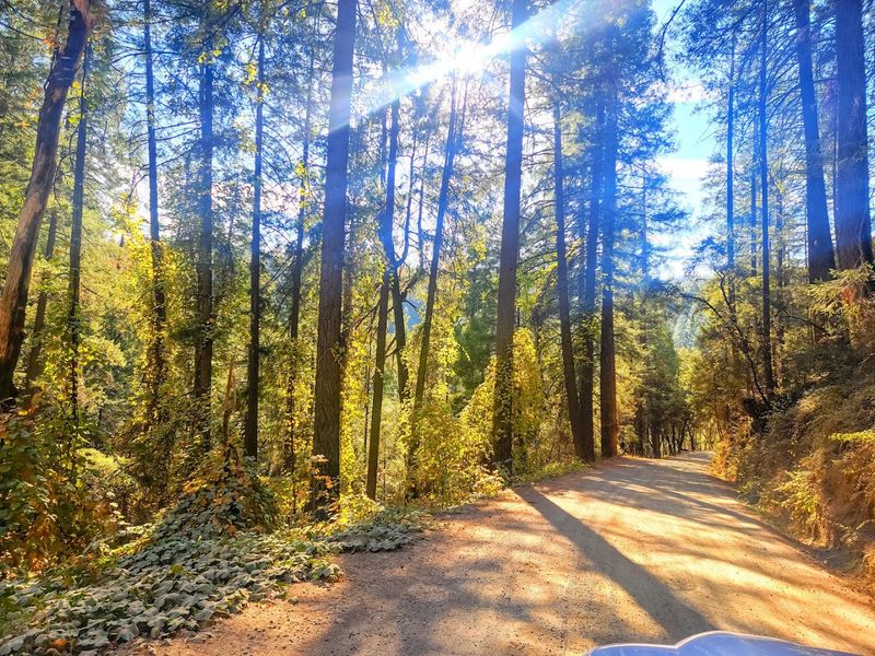 Wildlife Adds An Unexpected Layer To Every Visit