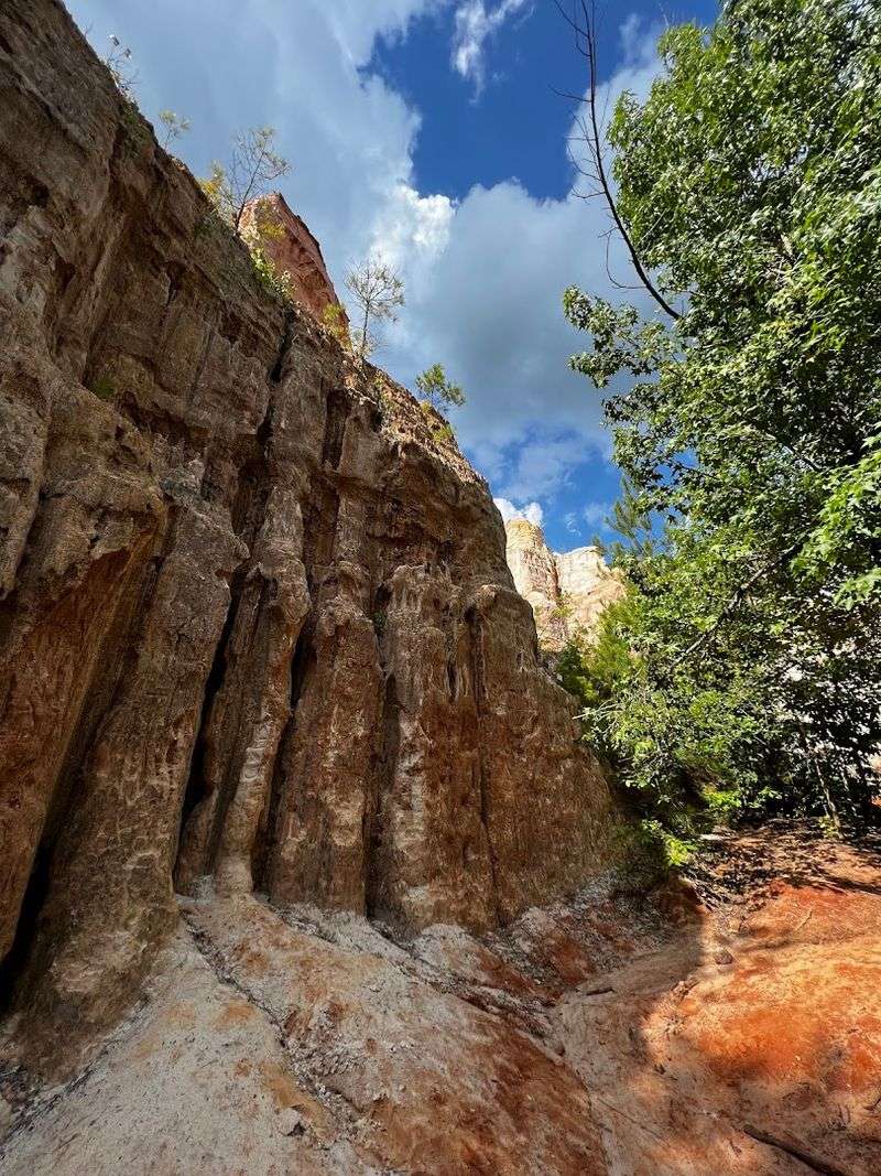This Breathtaking Georgia State Park Feels Like It Belongs Out West - Decor Hint Dog-Friendly Trails That Welcome the Whole Family