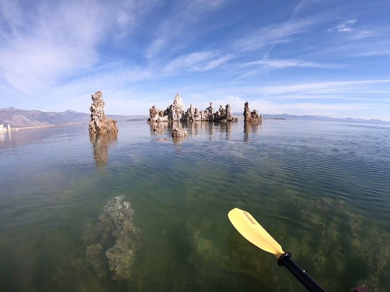 Brine Shrimp And Alkali Flies As The Unexpected Engines Of The Ecosystem