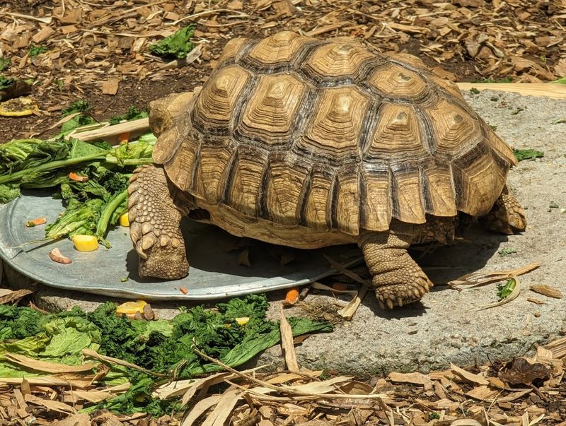 Good conversation starter for all ages