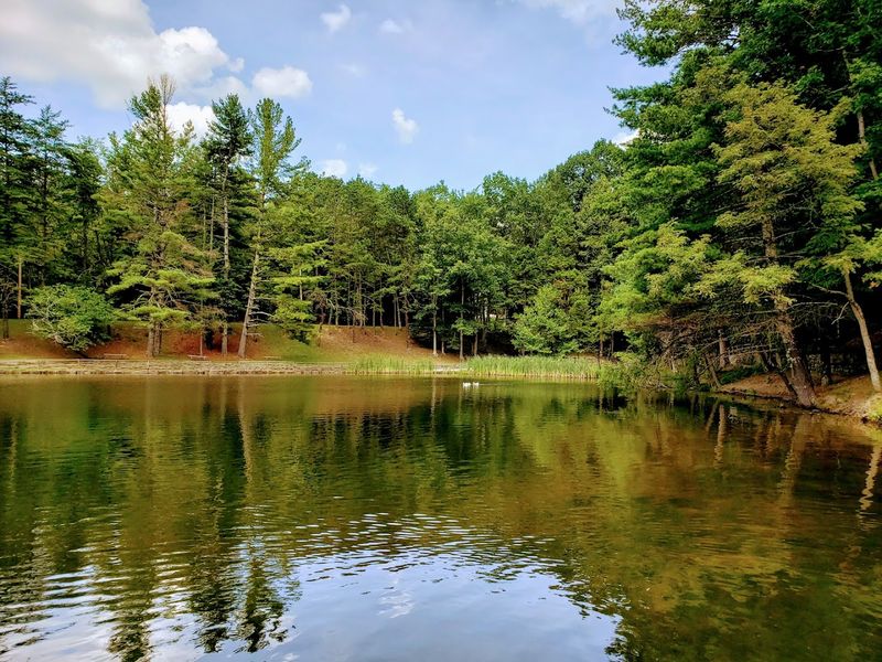 Wildlife watching feels pleasantly low-key