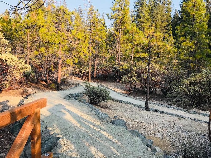 The Setting Feels Remote In A Good Way