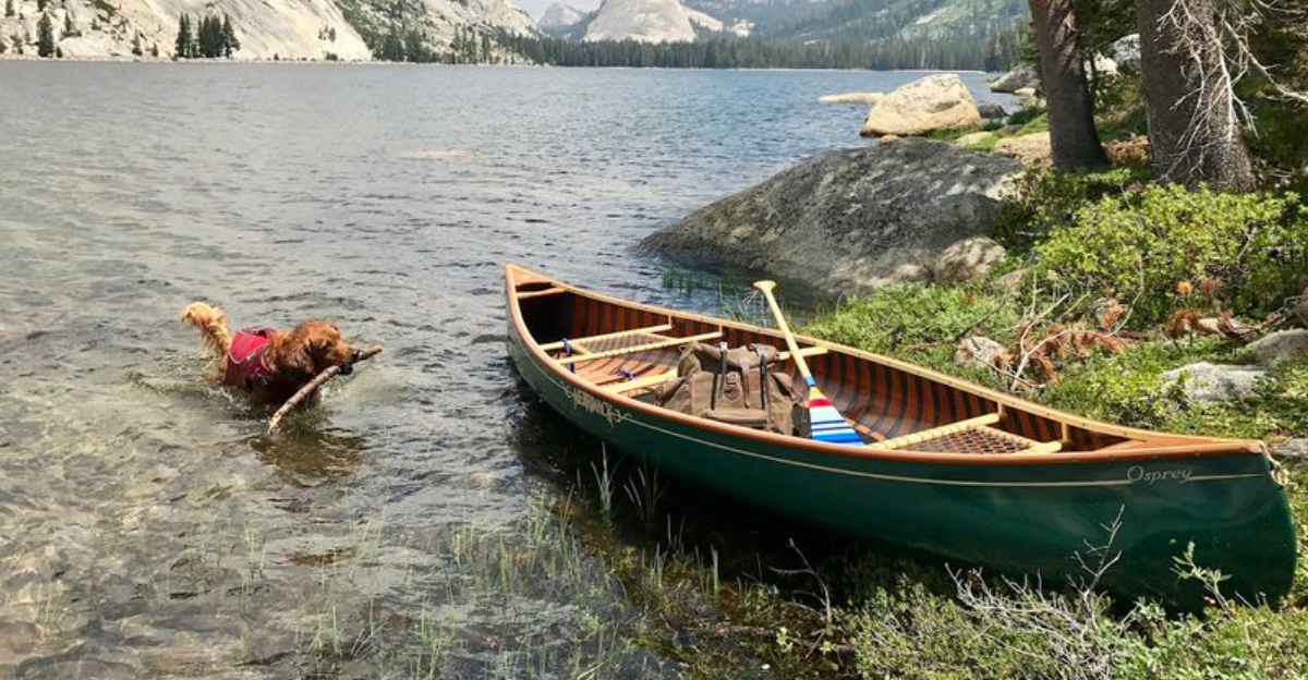 These 10 California Mountain Lakes Are Worth The Day Trip For Their Crystal Clear Water - Decor Hint
