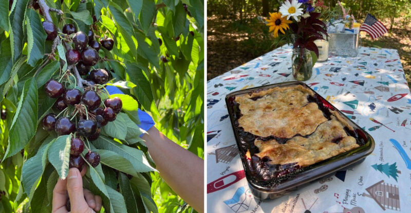 These 10 Cherry Country Farm Stands In Michigan Make Pies You Won’t Forget