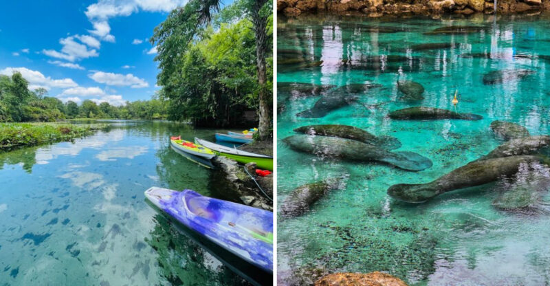 These 10 Florida Springs Are So Clear You’ll Think They’re Photoshopped
