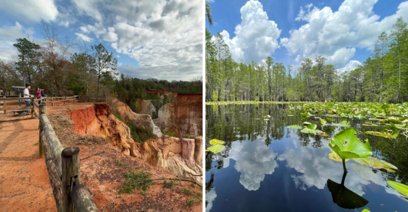 These 10 Georgia Parks Offer Views You Won’t Forget