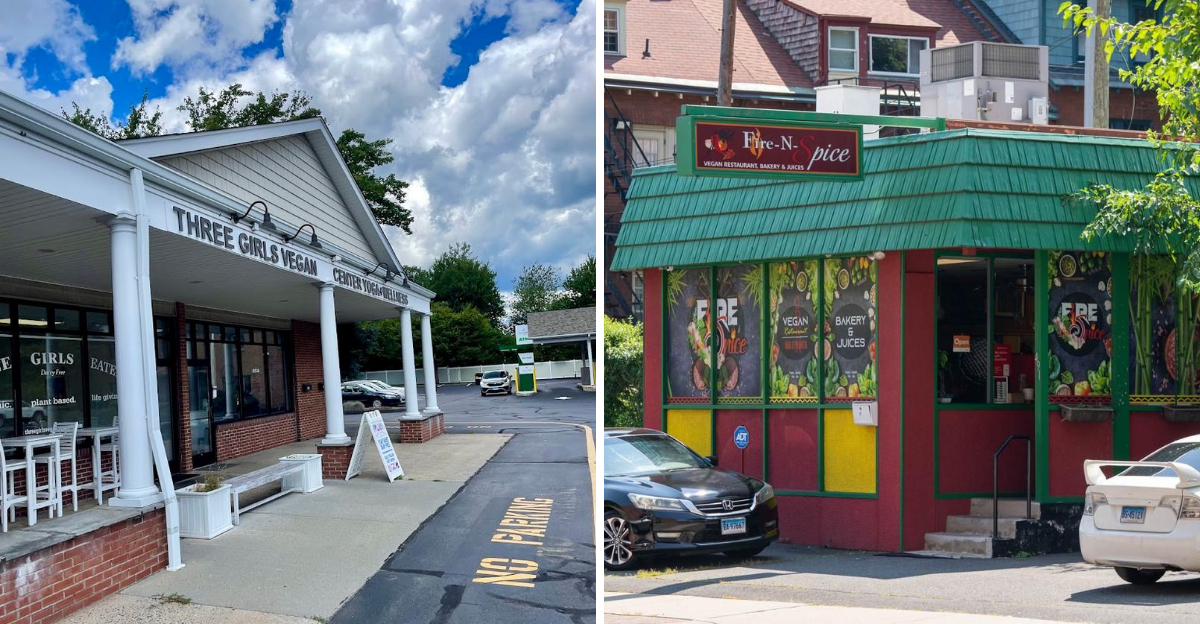 These 10 Vegan Restaurants In Connecticut Are Truly A Must Try - Decor Hint