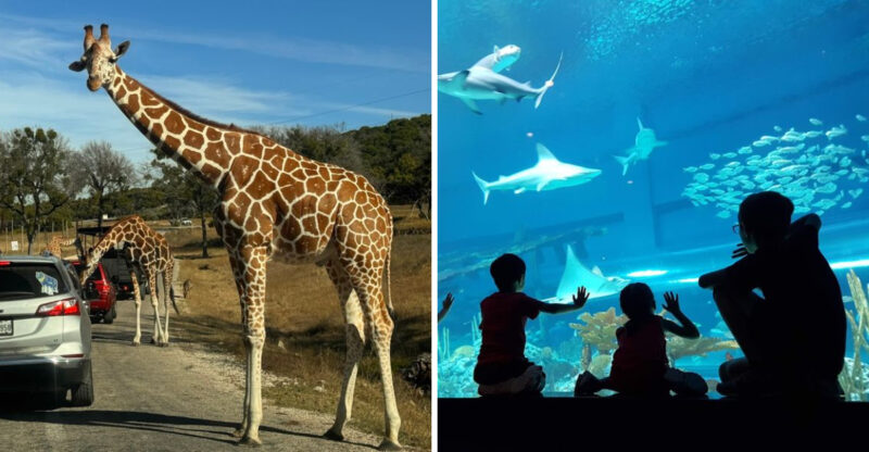 These 10 Weekend Getaways In Texas For 2026 Make Family Travel Easy And Fun