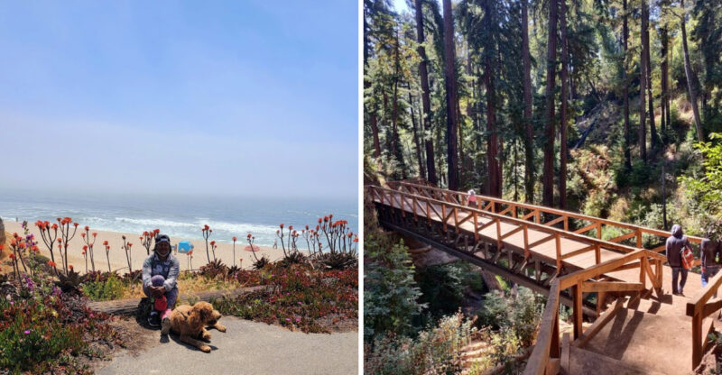 These 13 Dog-Friendly Trails In California Are Perfect For A Weekend Adventure