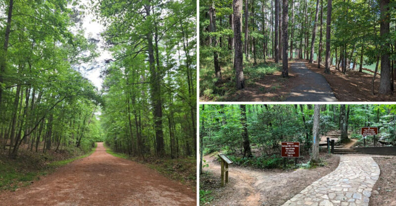 These 15 Dog-Friendly Trails In Georgia Are Perfect For A Weekend Adventure