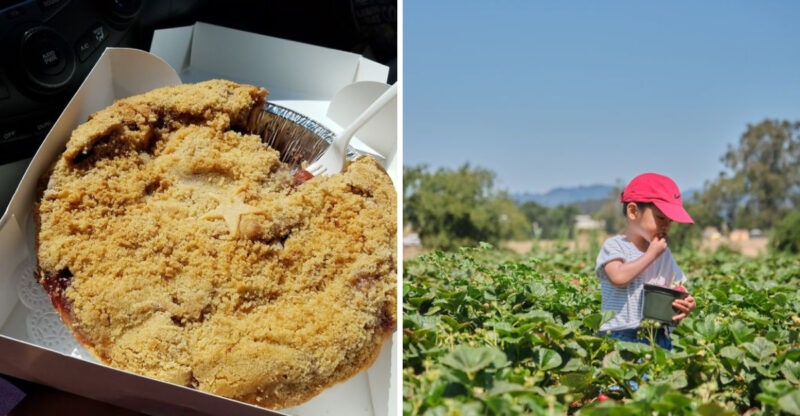 These Homemade Pies At An Old-Fashioned California Spot Are Worth The Drive
