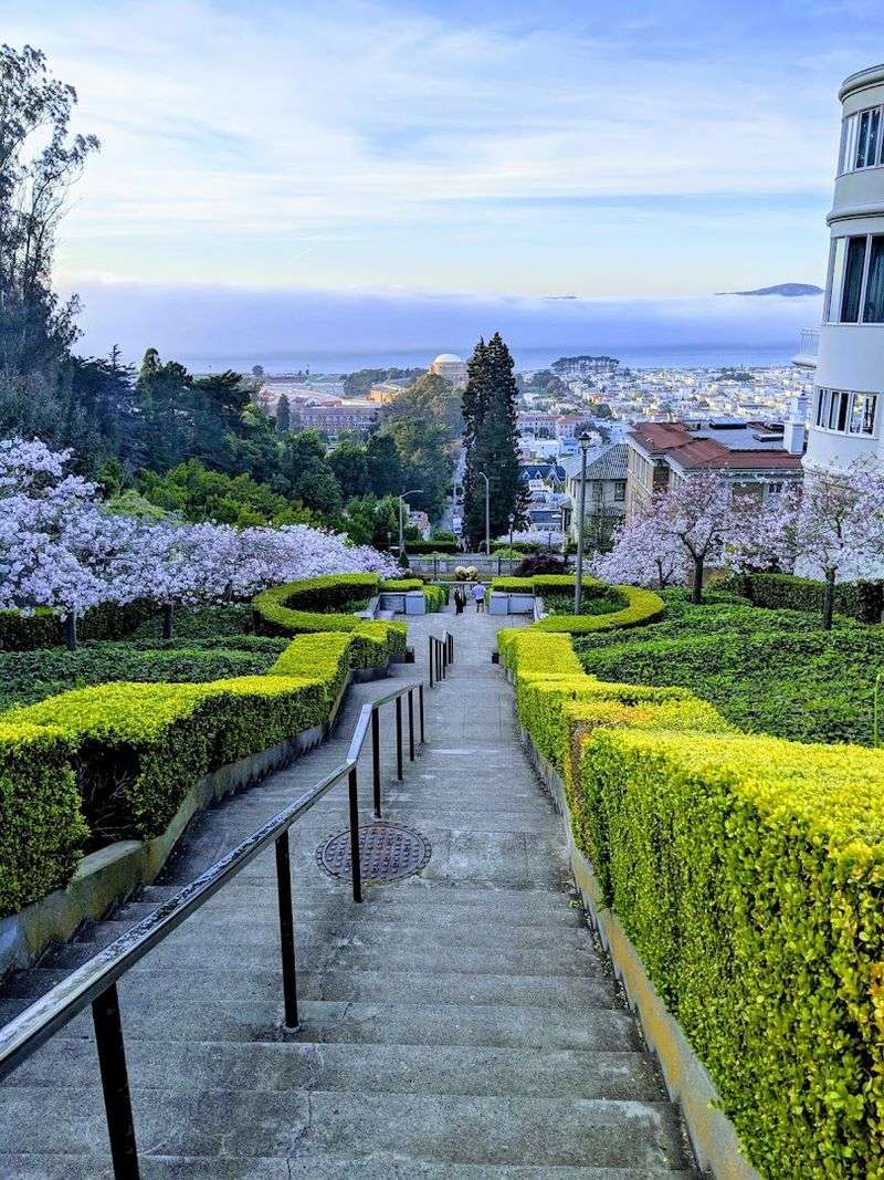 These Iconic San Francisco, California Steps Feel Like A Perfect Climb In April - Decor Hint 332 Steps That Tell The Story Of A Neighborhood