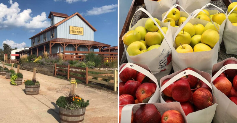 These Iowa Cider & Orchard Trails Turn A Simple Drive Into The Perfect Fall Escape
