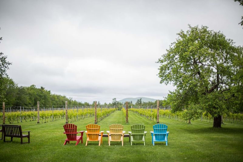 Cellardoor Winery