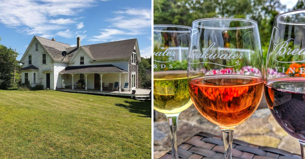 These Maine Wineries Are The Kind Of Places You Never Forget - Decor Hint