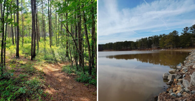 These Natural Landscapes In Georgia Feel Miles Away From Everything