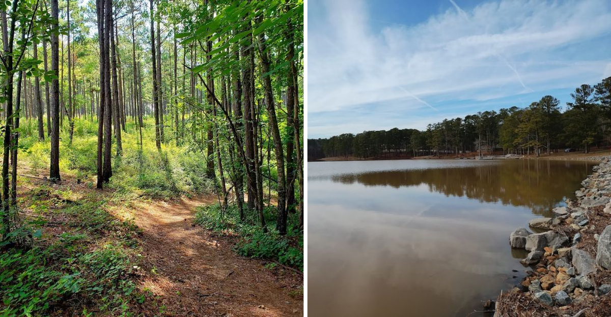 These Natural Landscapes In Georgia Feel Miles Away From Everything - Decor Hint