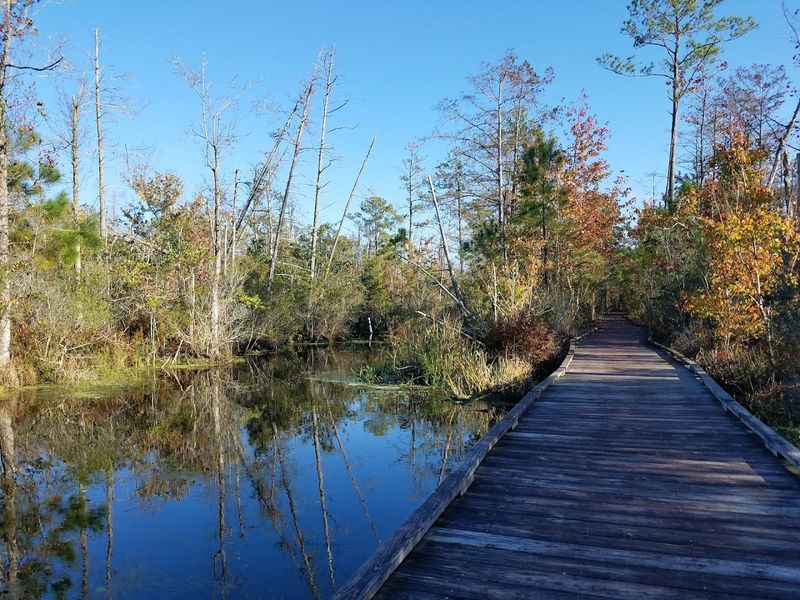 Alligator River National Wildlife Refuge