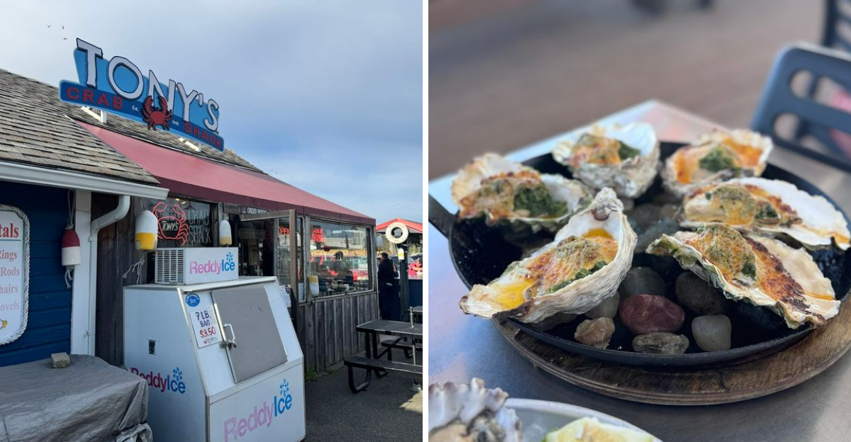 These Oregon Coast Seafood Spots Built Their Crowds The Old Fashioned Way - Decor Hint