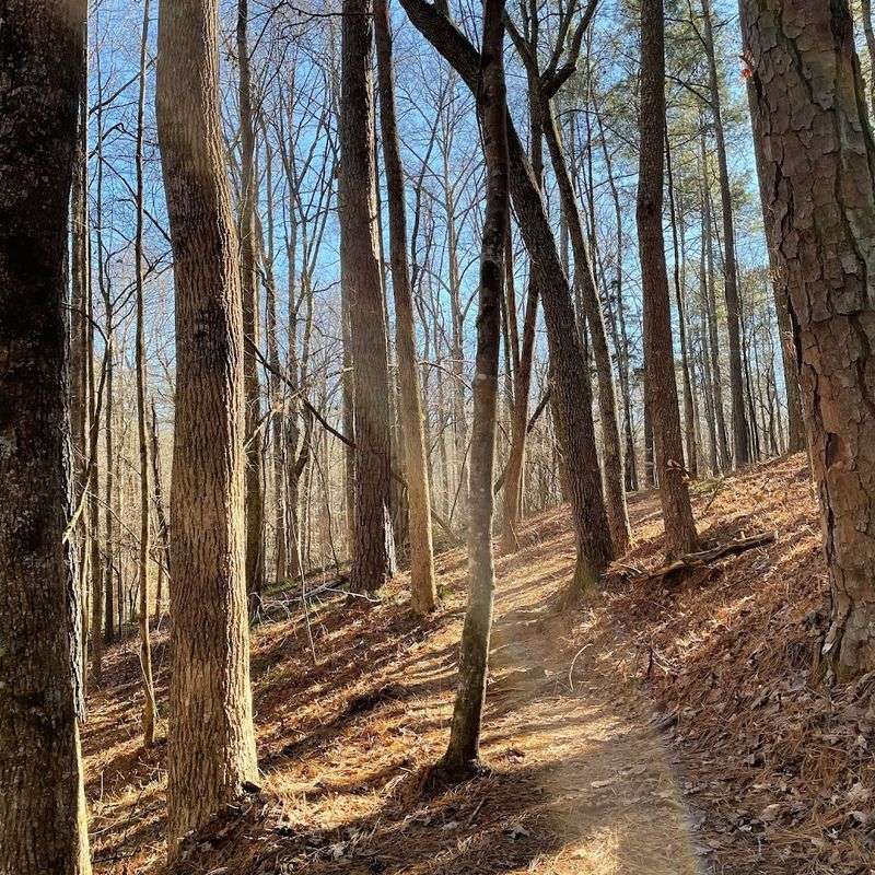 A Trail System That Covers Every Skill Level