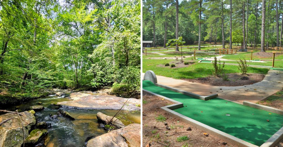 These Quiet Trails In A Georgia State Park Are Unknown To Most Visitors - Decor Hint