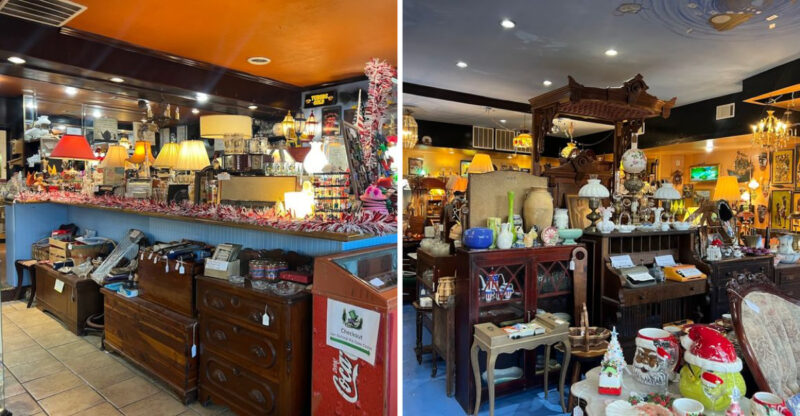 These Strange Treasures Inside A Georgia Oddity Shop Feel Like Another World