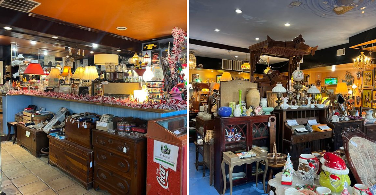 These Strange Treasures Inside A Georgia Oddity Shop Feel Like Another World - Decor Hint