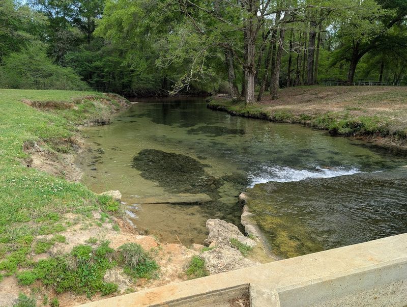 The Natural Spring Pools