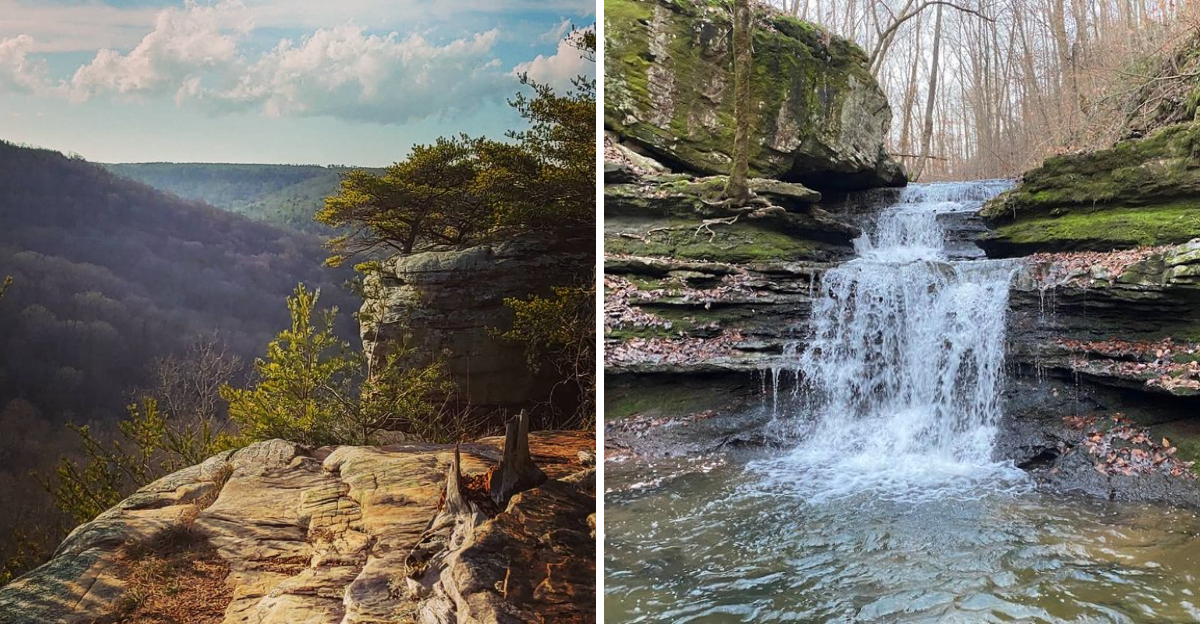 This Alabama Park Sits Inside A Natural Pocket Of Mountains And It Is Absolutely Worth The Drive - Decor Hint