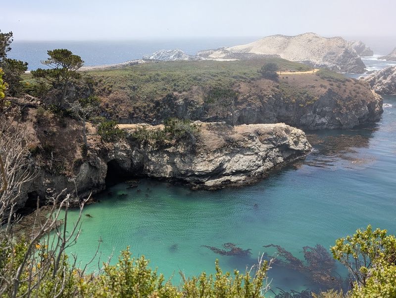 One Of The Richest Underwater Habitats In The World