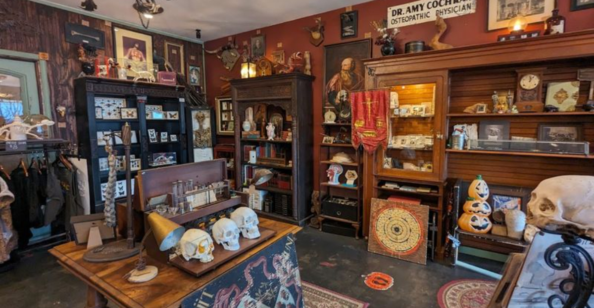 This Bizarre Oddity Store In California Is A Wonderland Of Rare Finds And Unusual Collectibles - Decor Hint