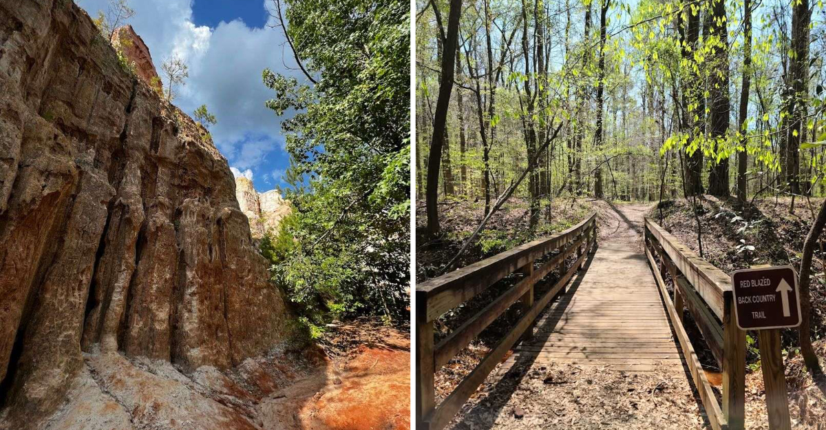This Breathtaking Georgia State Park Feels Like It Belongs Out West - Decor Hint