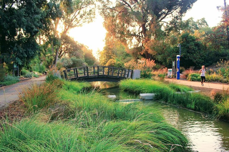 Over 20 Distinct Garden Collections