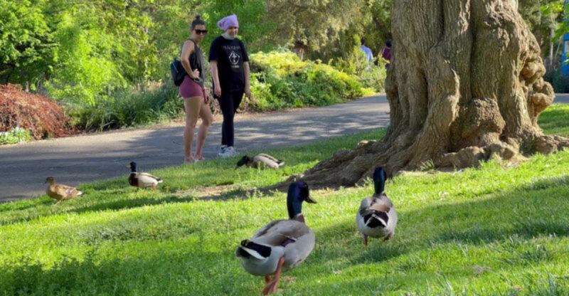 This California Arboretum Is One Of The State’s Most Relaxing Spring Walks