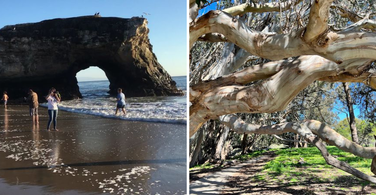 This California Beach With A Sea Arch Offers Much More Than Just A Pretty View - Decor Hint