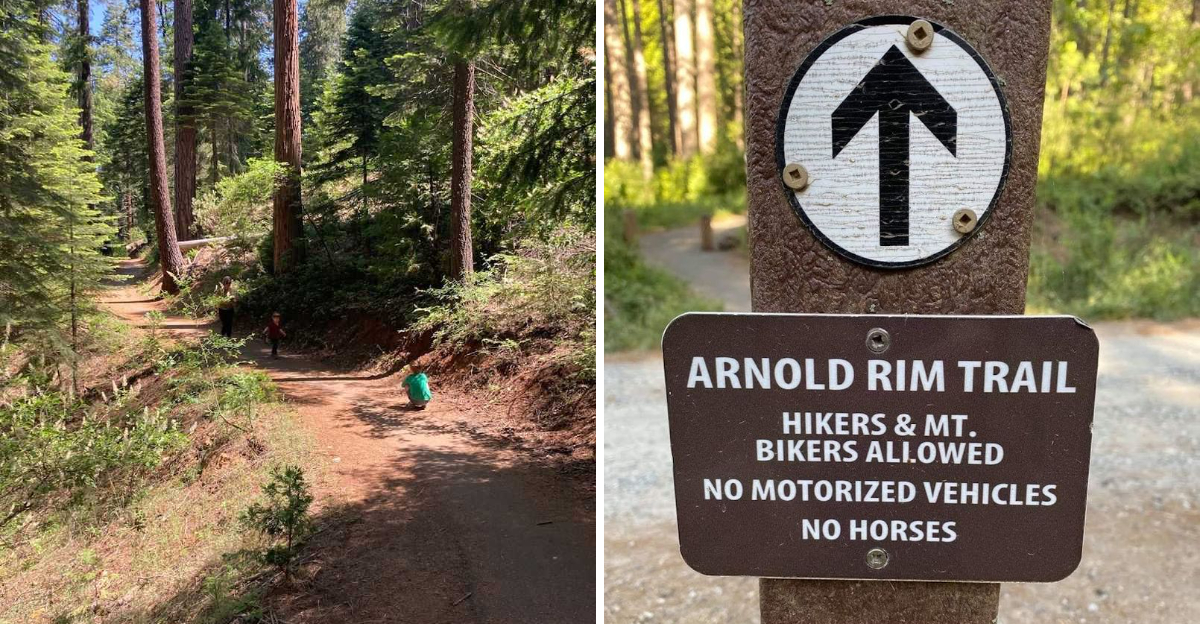 This California Bike And Hike Trail Has Scenic Overlooks Worth The Climb - Decor Hint