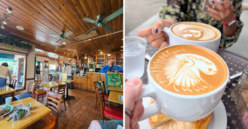 This California Café Is Known For Organic Coffee, Tea, And A Crowd That Never Slows Down