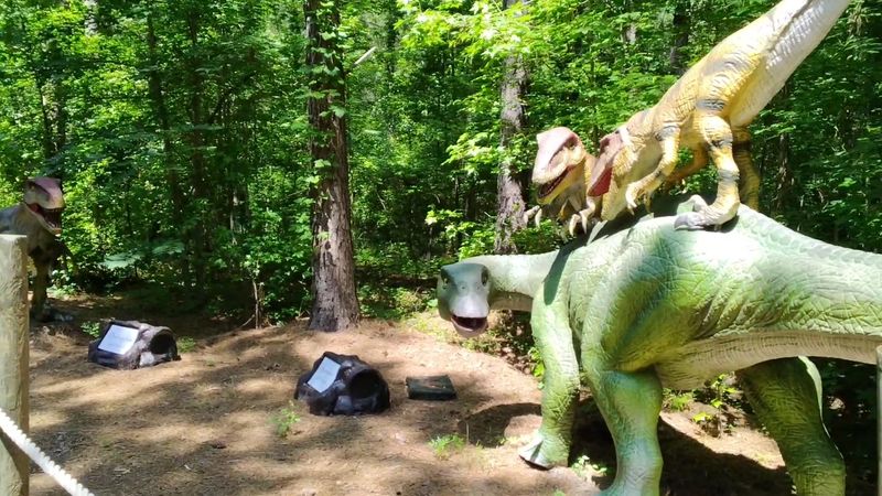 The Dino Trail Experience