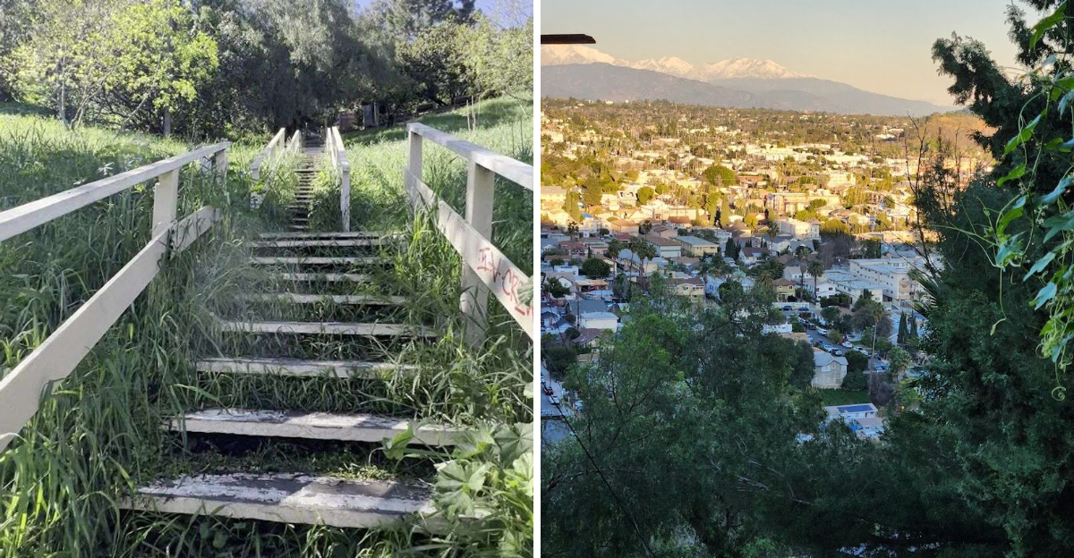 This Easy California Stair Hike Reveals One Of Los Angeles Best Views - Decor Hint