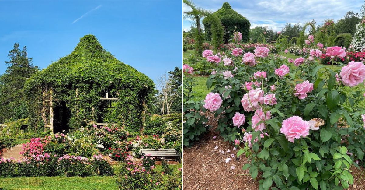 This Enchanting Botanical Garden In Connecticut Is One Of The States Best Kept Secrets - Decor Hint