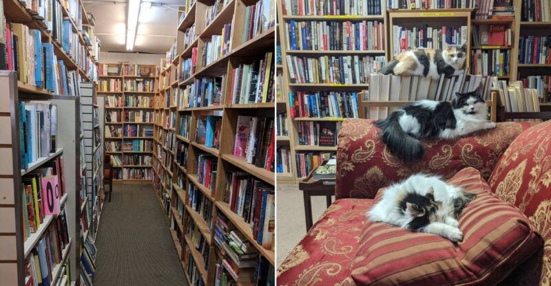 This Enormous Used Bookstore In Connecticut Takes All Day To Explore