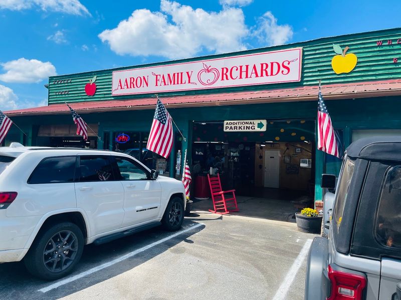 The Soft Pace Of A Fall Day