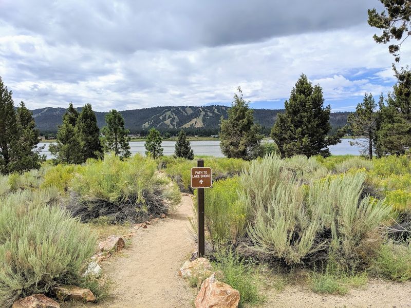 A Paved Path That Actually Delivers On Its Promise