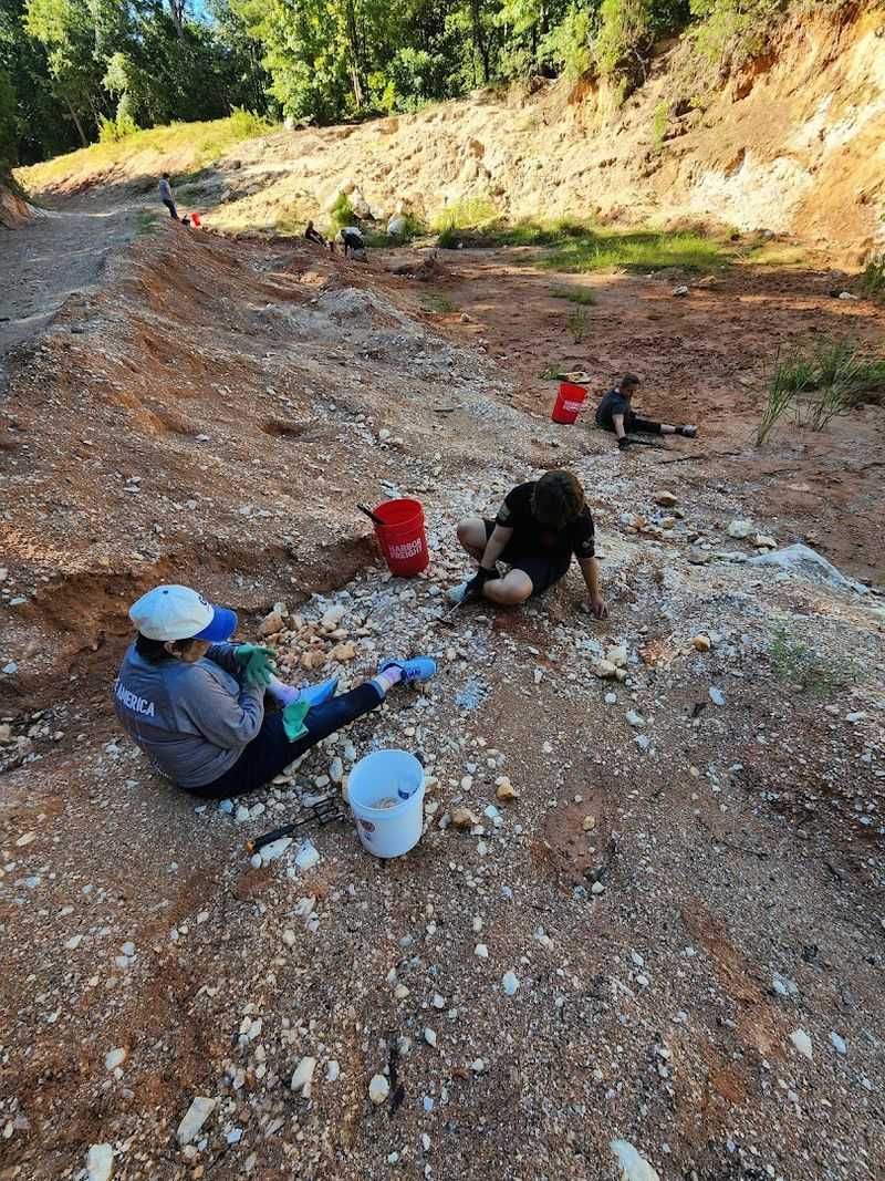 Diverse Gemstone Hunting