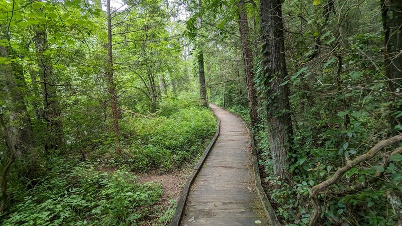 The Boardwalk Makes The First Stretch Inviting